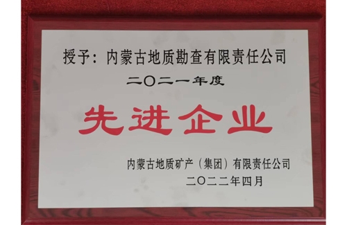 先進(jìn)企業(yè)