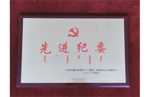 2022年先進(jìn)紀(jì)委